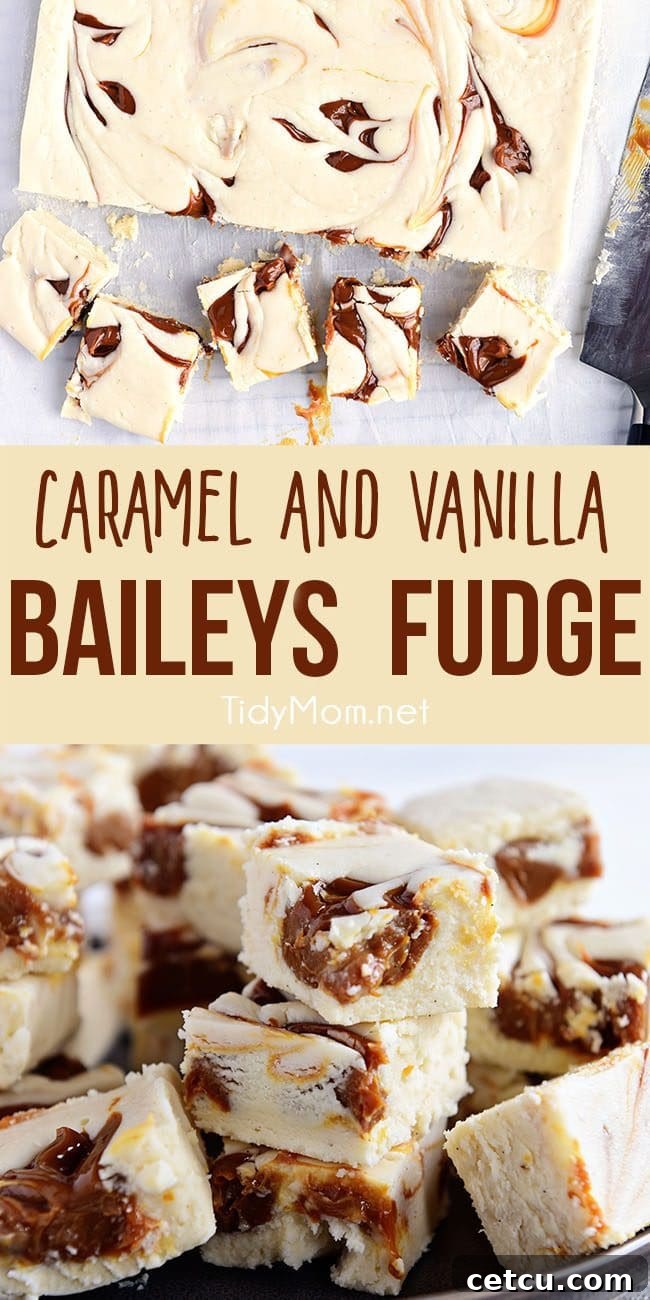 A collage of various Baileys Fudge images on a plate, highlighting different angles and textures.
