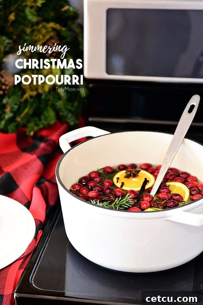Vibrant Simmering Christmas Potpourri mixture bubbling gently on a stovetop, filling the kitchen with festive aromas.