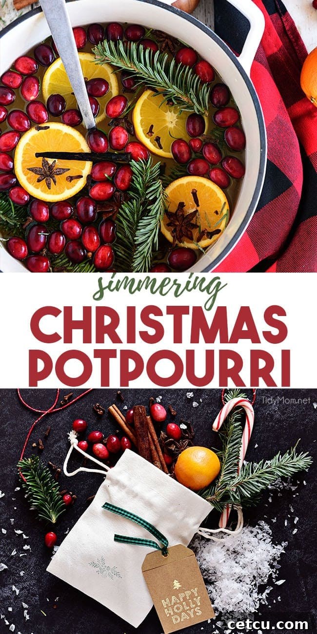 Simmering Christmas Potpourri ingredients collage with gift bags