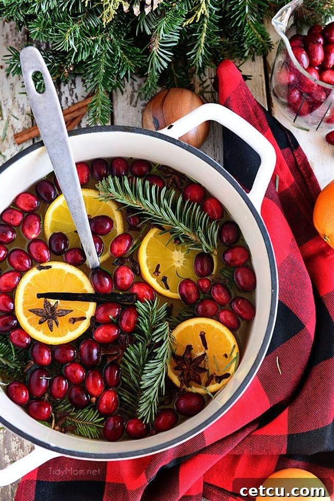 Overhead view of fresh cranberries, orange slices, cinnamon sticks, star anise, and pine sprigs arranged for Simmering Christmas Potpourri ingredients.