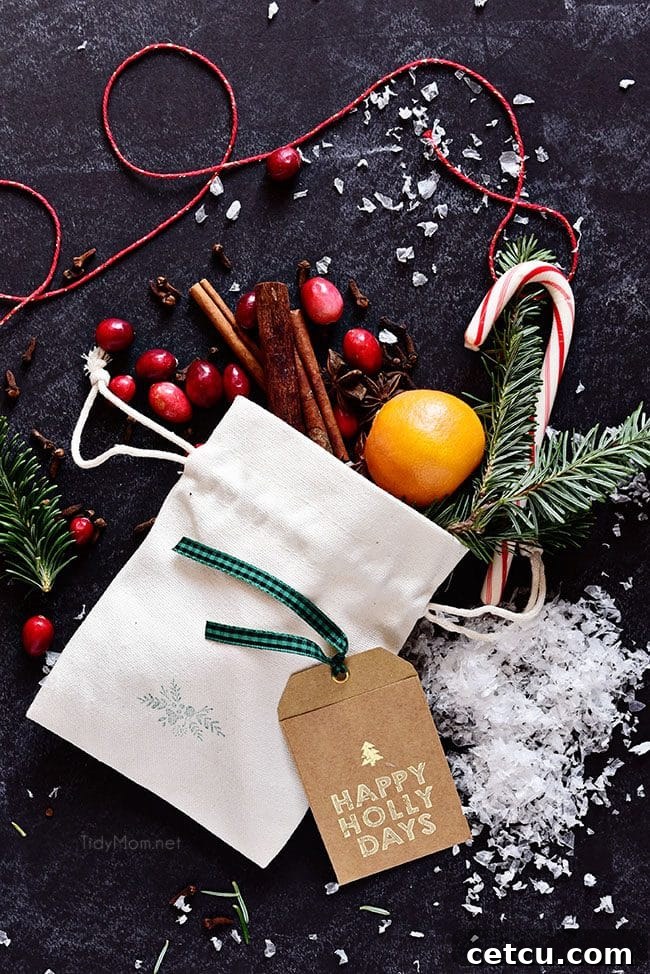 A charming Simmering Christmas Potpourri gift package featuring ingredients in a clear bag with a festive ribbon and gift tag.