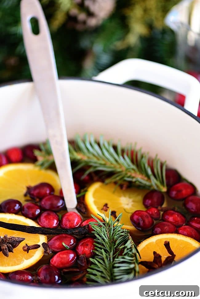 Close-up of a pot of Simmering Christmas Potpourri, showing a ladle stirring the fragrant blend of cranberries, oranges, and spices.