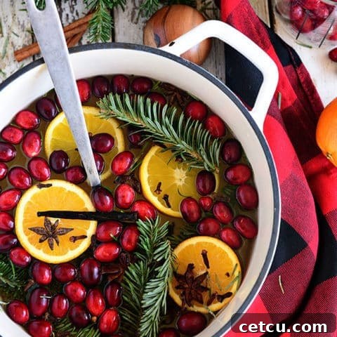 Overhead view of fresh cranberries, orange slices, cinnamon sticks, star anise, and pine sprigs arranged for Simmering Christmas Potpourri ingredients.
