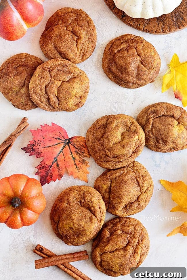 A charming flat lay of several pumpkin snickerdoodles arranged artfully on a table, highlighting their soft texture and festive appeal.