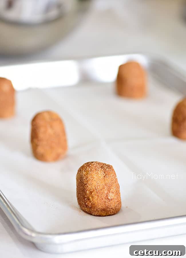Pumpkin Snickerdoodle cookie dough rolled into logs and coated with sugar and spice, ready to be baked on a parchment-lined sheet pan.
