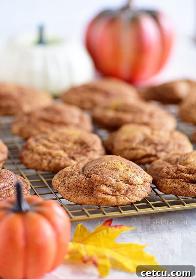Freshly baked Pumpkin Snickerdoodles cooling on a wire rack, their crinkled tops dusted with cinnamon sugar, ready to be enjoyed.