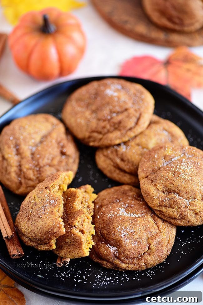 A black plate piled high with fluffy Pumpkin Snickerdoodle cookies, each beautifully coated in a sugar-spice mixture, ready to be served.