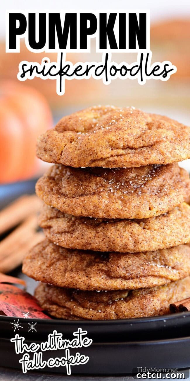 A beautifully composed image of Pumpkin Snickerdoodles, emphasizing their soft texture and spiced sugar coating, perfect for a Pinterest share.