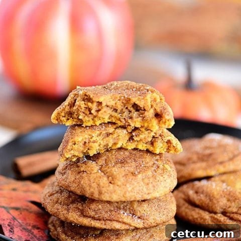 Pumpkin Snickerdoodles on a fall table, showcasing their delightful appearance.