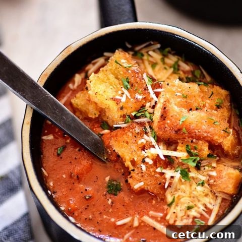 Roasted Tomato Soup in a black bowl