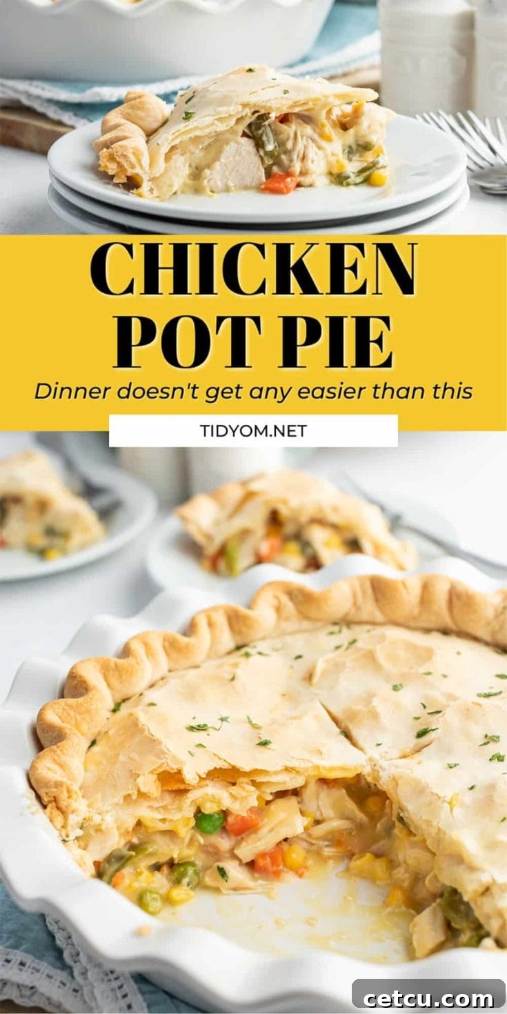Pinterest pin for Easy Chicken Pot Pie recipe.