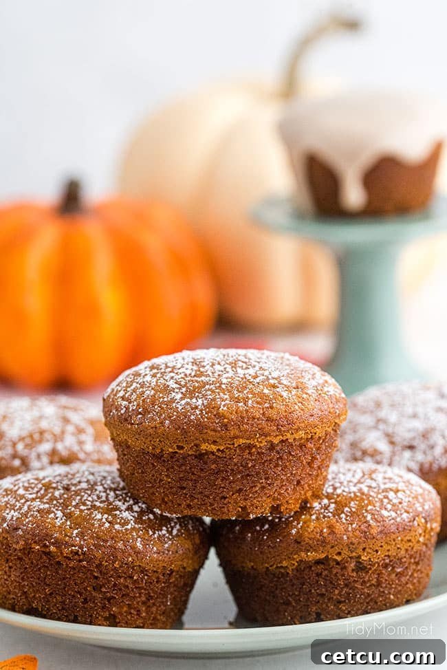 pumpkin muffins dusted with powdered sugar, offering a simpler yet equally delicious option