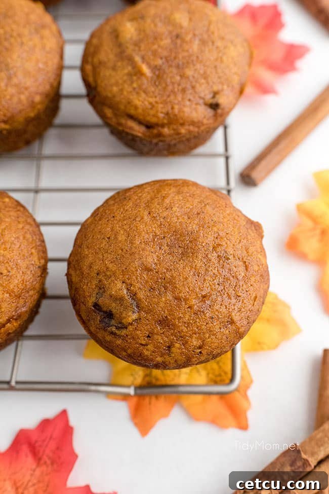 pumpkin muffins on a cooling rack, surrounded by fall leaves, evoking a cozy autumn scene