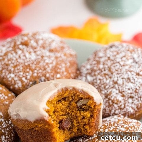 a maple glazed pumpkin muffin with a bite taken out, showing its moist, tender interior