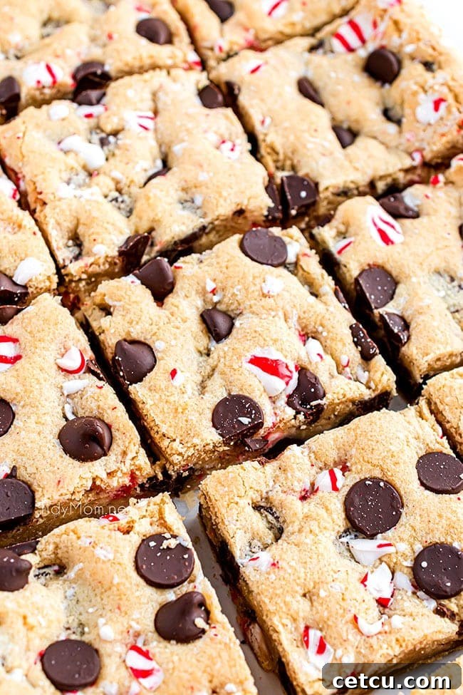 Close-up of freshly baked and perfectly cut Dark Chocolate Chip Peppermint Cookie Bars, showing their chewy texture and colorful peppermint pieces.