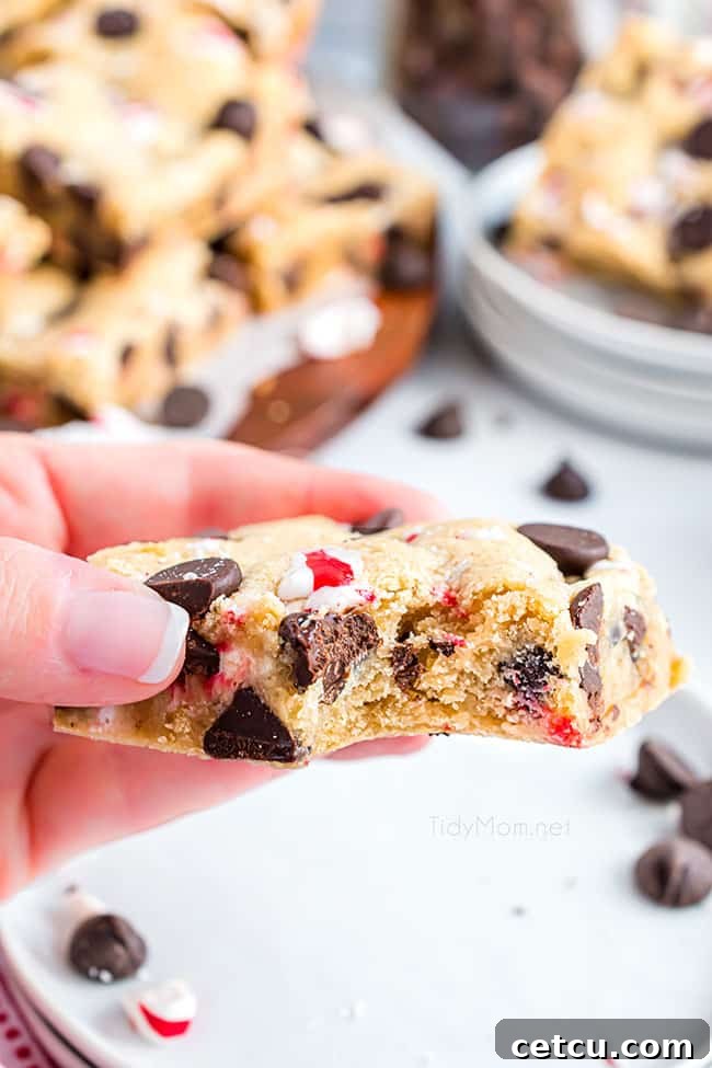 A Dark Chocolate Chip Peppermint Cookie Bar with a bite taken out, showcasing the rich chocolate and vibrant peppermint pieces inside.
