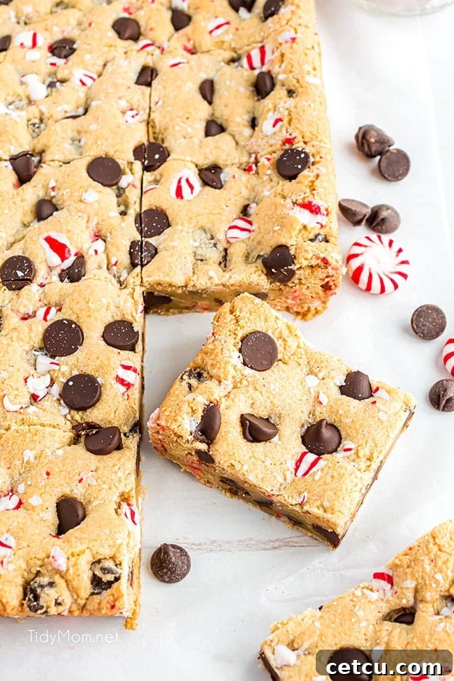 Numerous chocolate peppermint cookie bars with chocolate chips scattered on a kitchen counter, ready for packaging or serving.