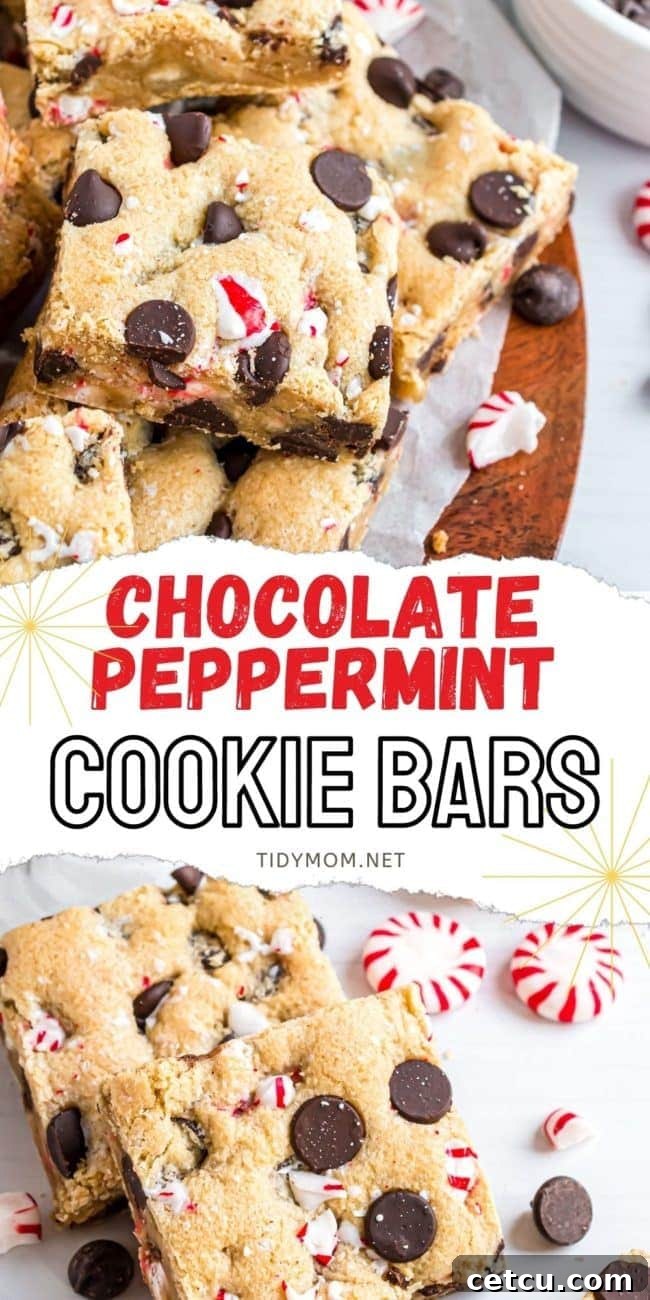 An extreme close-up of a Dark Chocolate Chip Peppermint Cookie Bar, highlighting the texture, melted chocolate, and visible peppermint pieces.