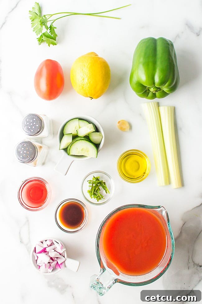 ingredients needed to make gazpacho recipe without bread