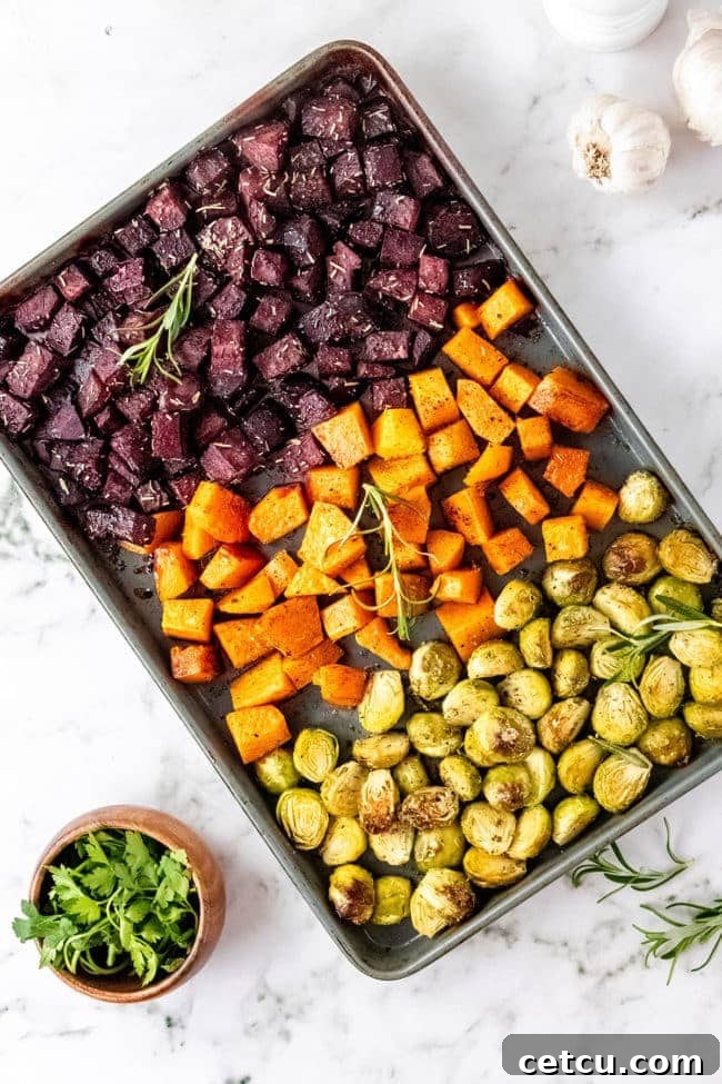 Roasted fall vegetables, including Brussels sprouts, butternut squash, and beetroot, spread out on a baking sheet, showcasing their even cooking and golden-brown edges.