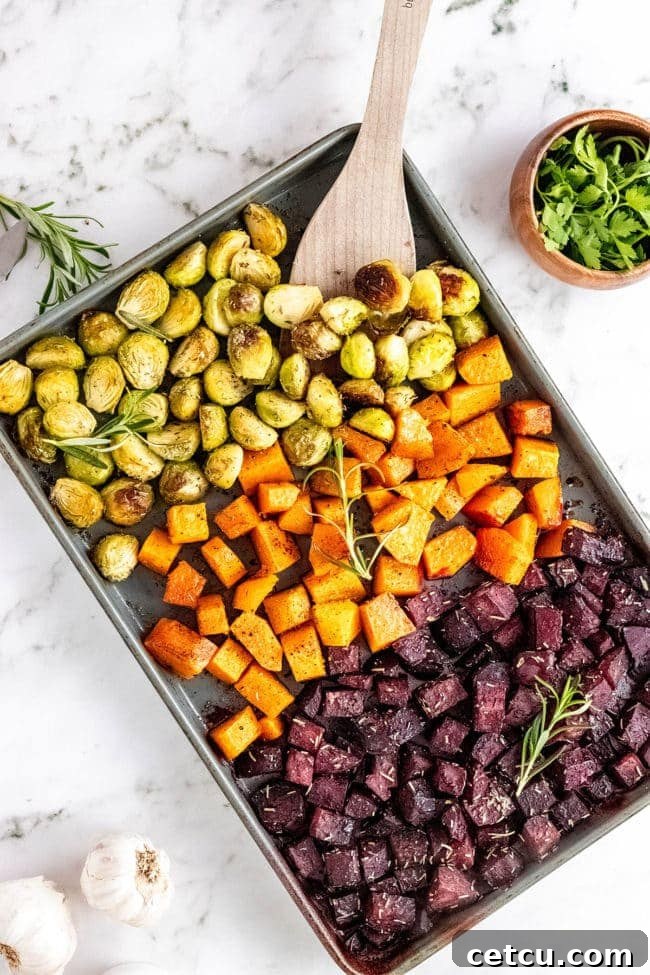 Roasted Brussels sprouts and other fall vegetables on a baking sheet, ready to be served or added to other dishes.