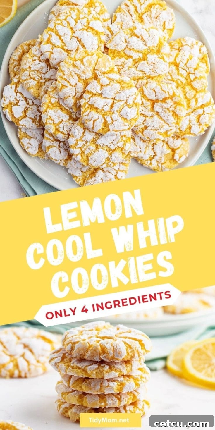 Cookies on a plate and a stack of cookies on a counter