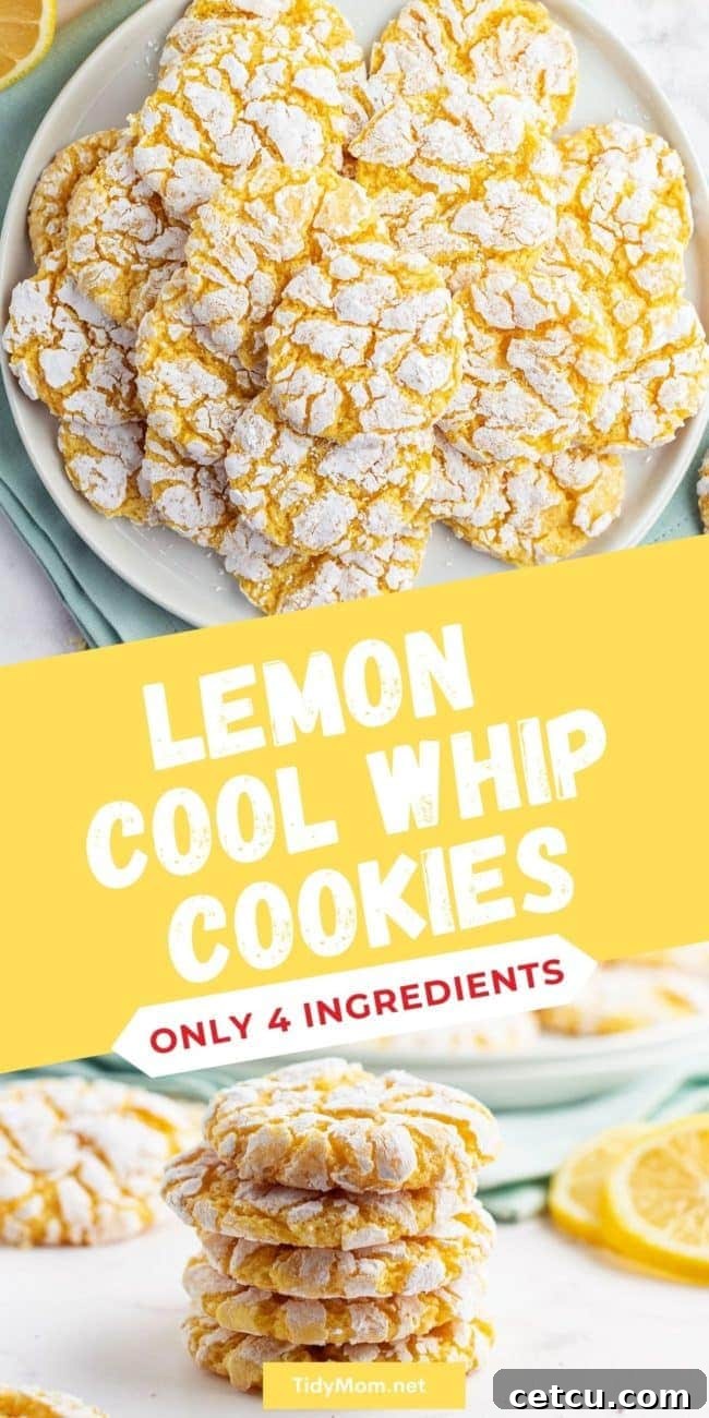 Cookies on a plate and a stack of cookies on a counter