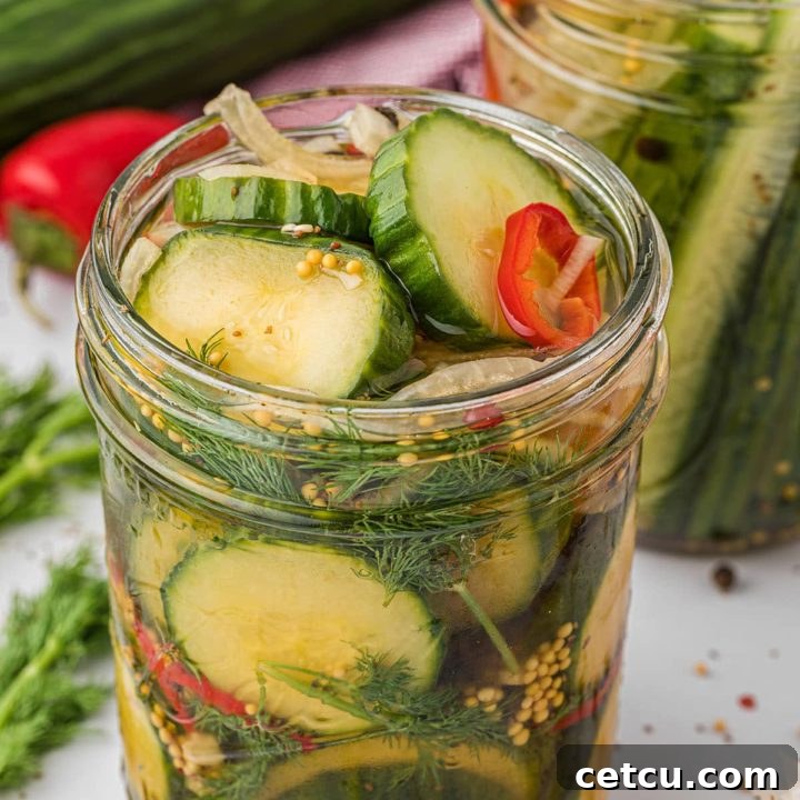 A wide-mouth canning jar with homemade refrigerator pickles and fresh dill, reflecting the ease and freshness of this quick recipe.