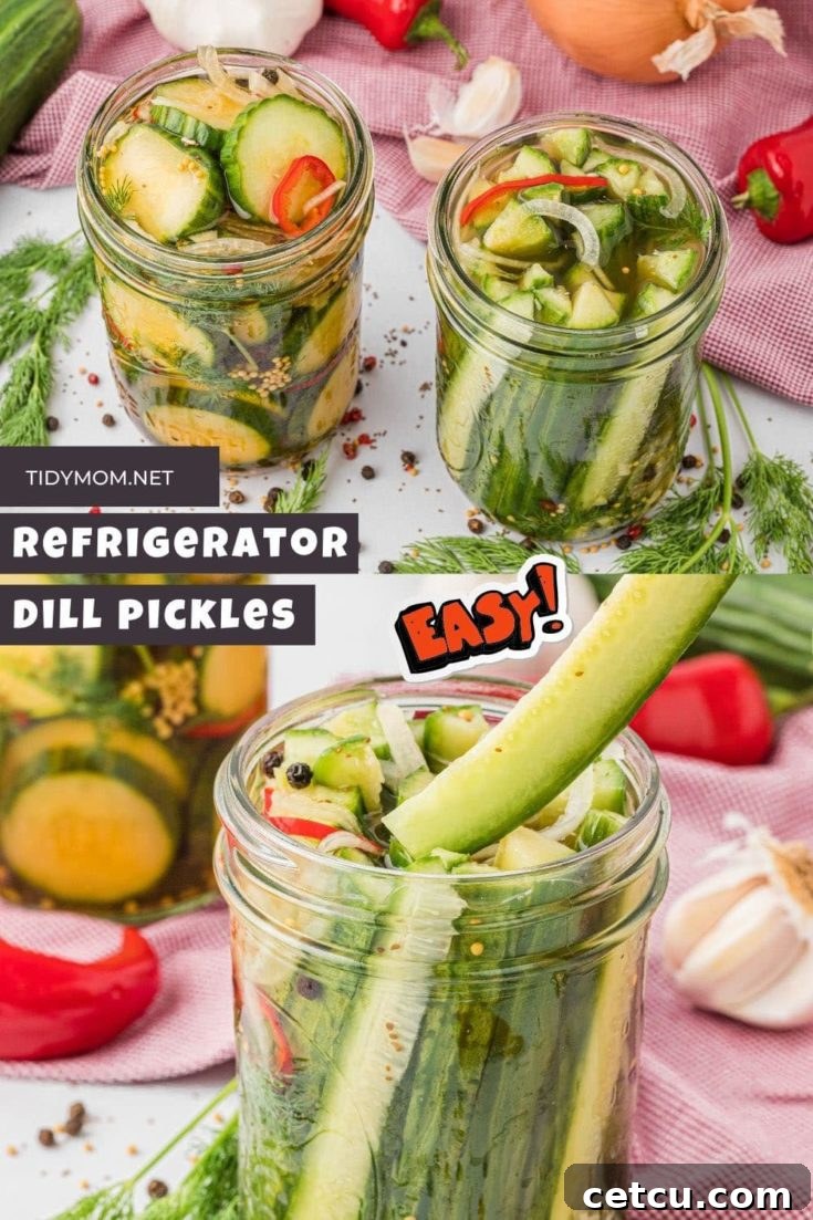 A stunning photo collage featuring multiple jars of quick refrigerator dill pickles, highlighting their fresh appearance and inviting texture, perfect for sharing.