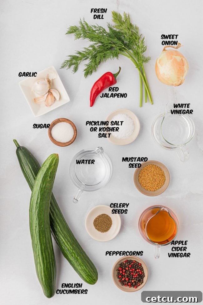 A vibrant collection of fresh ingredients laid out on a kitchen counter: crisp cucumbers, red jalapeno, sweet onion, garlic cloves, fresh dill, and spices, all set for making homemade quick pickles.