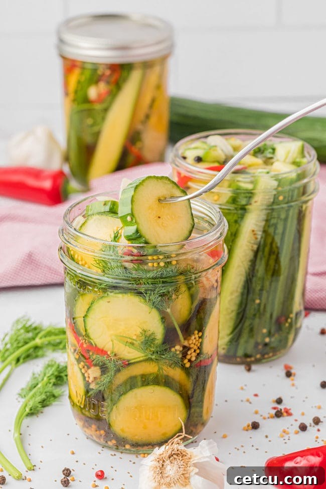 A wide-mouth canning jar brimming with crunchy refrigerator pickles and fresh dill, with a fork poised to remove a pickle, highlighting the readiness of this homemade treat.