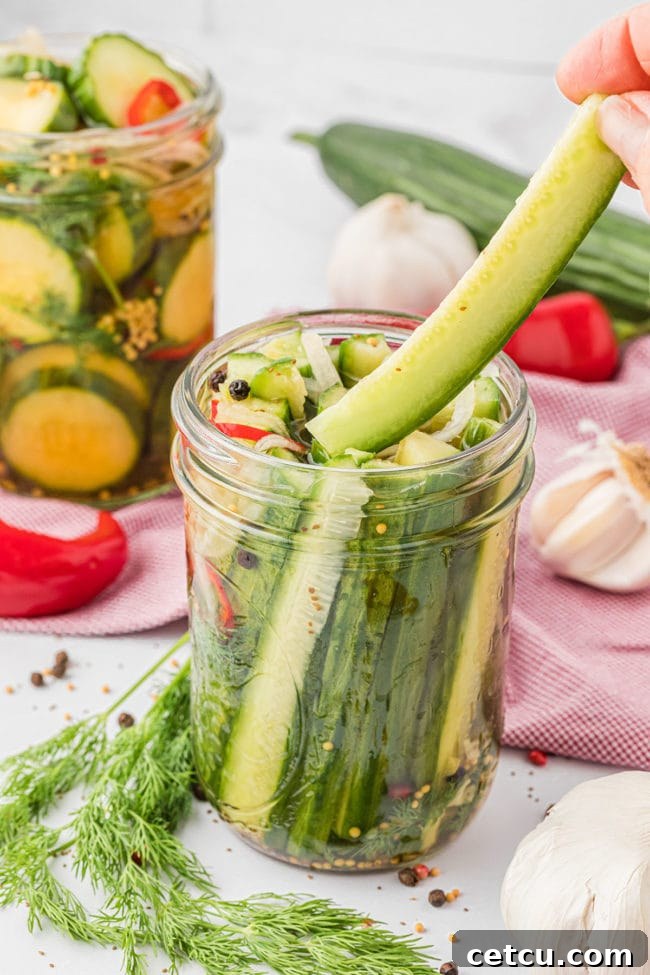 A single canning jar filled with neatly arranged refrigerator pickle spears, showcasing the appealing color and texture of homemade quick pickles.