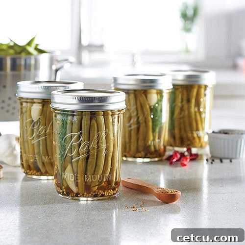 Two 1-pint mason jars, perfect for pickling and storage, resting on a clean kitchen counter.