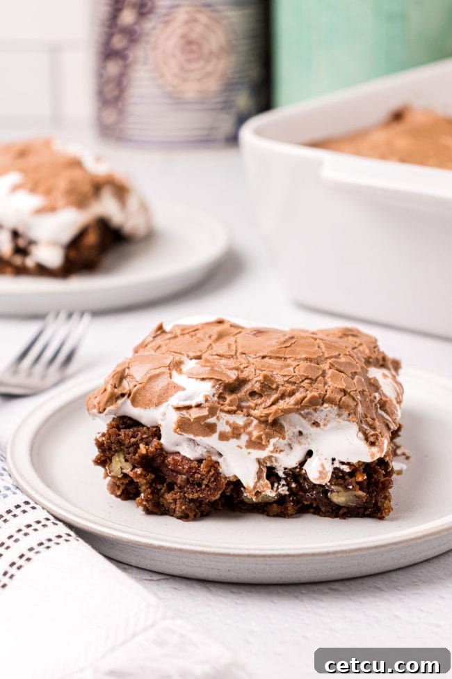 A generous serving of Mississippi Mud Cake on a pristine white plate, showcasing its dense chocolate layers, fluffy marshmallow, and rich frosting.