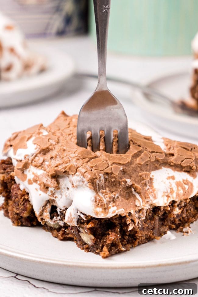 A close-up of a serving of Mississippi Mud Cake on a white plate, with a fork gently dug into the rich, layered dessert.