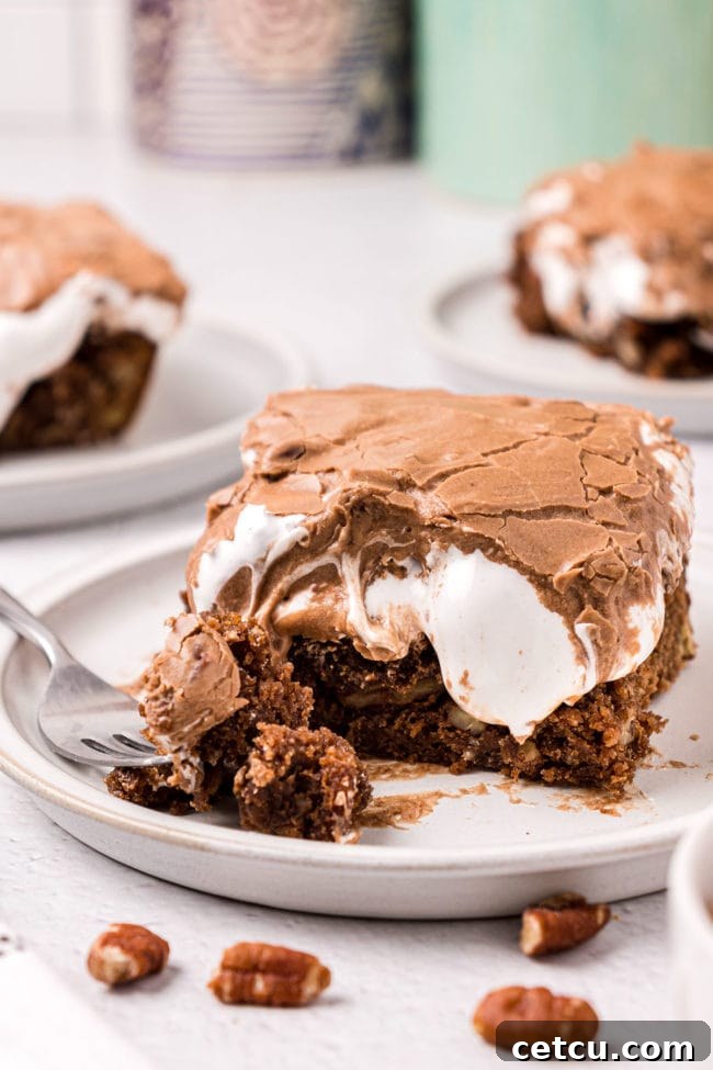 A delectable serving of Mississippi Mud Cake on a white plate, surrounded by scattered pecans, highlighting its rich chocolate and nutty elements.