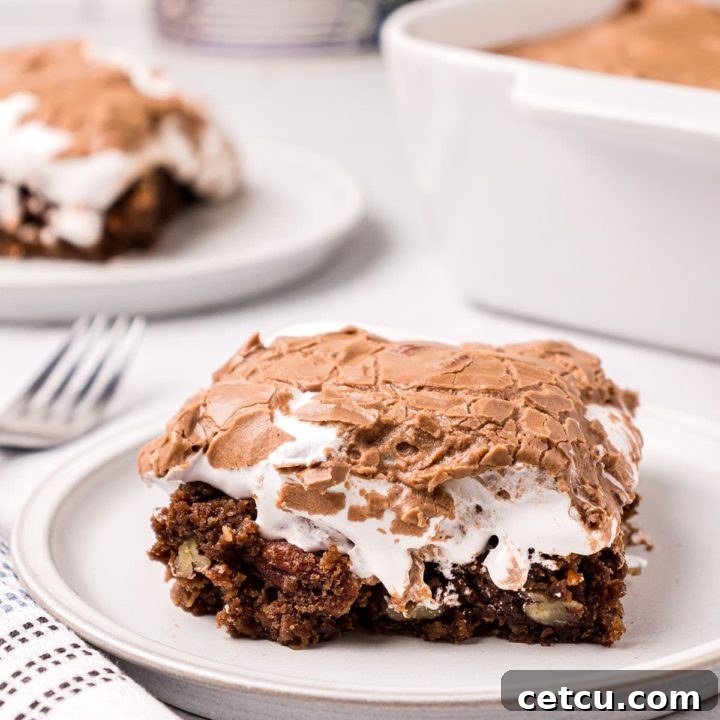 A beautiful serving of Mississippi Mud Cake on a white plate, showcasing its rich layers and tempting texture.