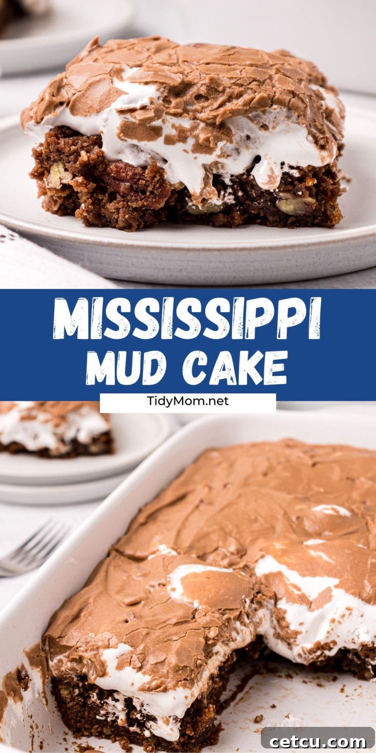 A collage of Mississippi Mud Cake photos, including a close-up and a full cake, for Pinterest sharing.
