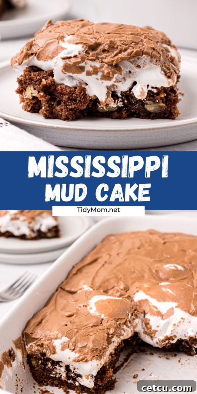 A photo collage showcasing various aspects of the Mississippi Mud Cake, including a generous slice and the full cake, perfect for sharing on social media platforms like Pinterest.