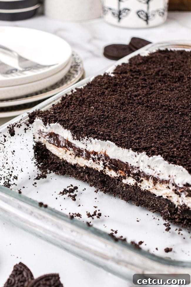 A glass baking dish filled with the completed No-Bake Chocolate Lasagna, showing off all its distinct, delicious layers.