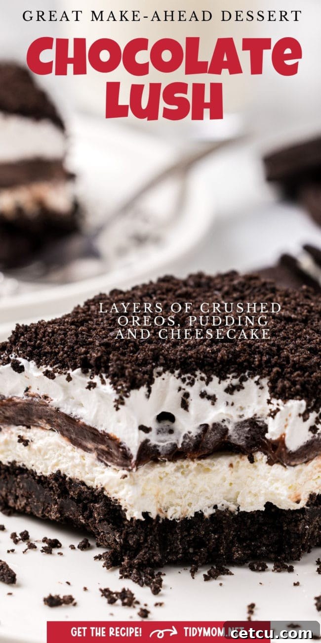 A slice of Chocolate Lush dessert on a plate, garnished with crushed Oreo cookie crumbs, emphasizing its irresistible texture.