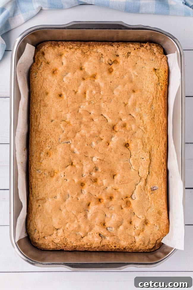 A pan of freshly baked golden blonde brownies, still warm with parchment paper lining, showing their light golden-brown surface.