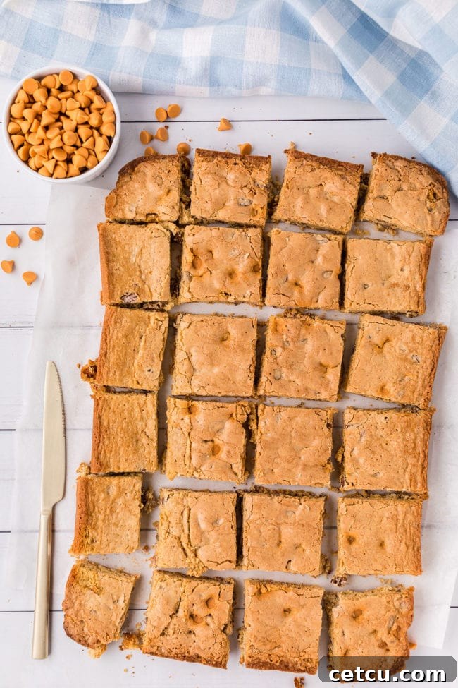 A pan of perfectly baked and cooled butterscotch blondies, neatly cut into 24 uniform squares, showcasing their chewy interior.