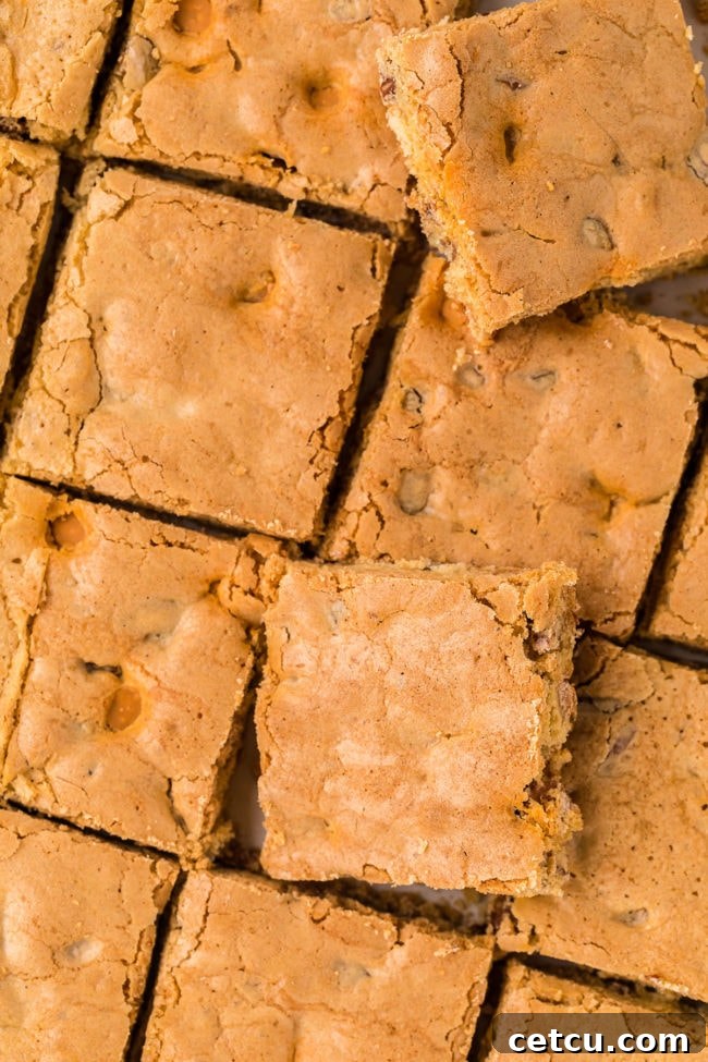 Beautifully cut butterscotch blondie dessert bars arranged attractively on a platter, ready to be served and enjoyed.