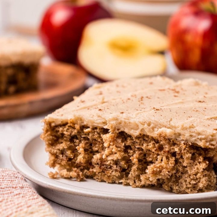 slice of cake on a plate. Red apples in the background.