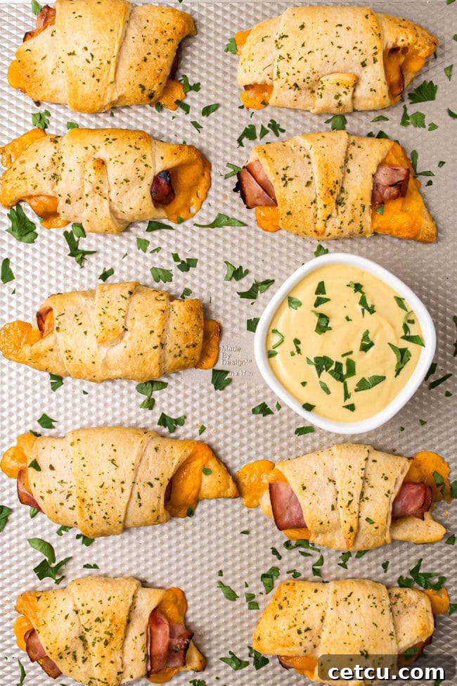 Final product: Baked Ham and Cheese Roll-Up Sandwiches on a baking sheet, ready to be served with dipping sauce.