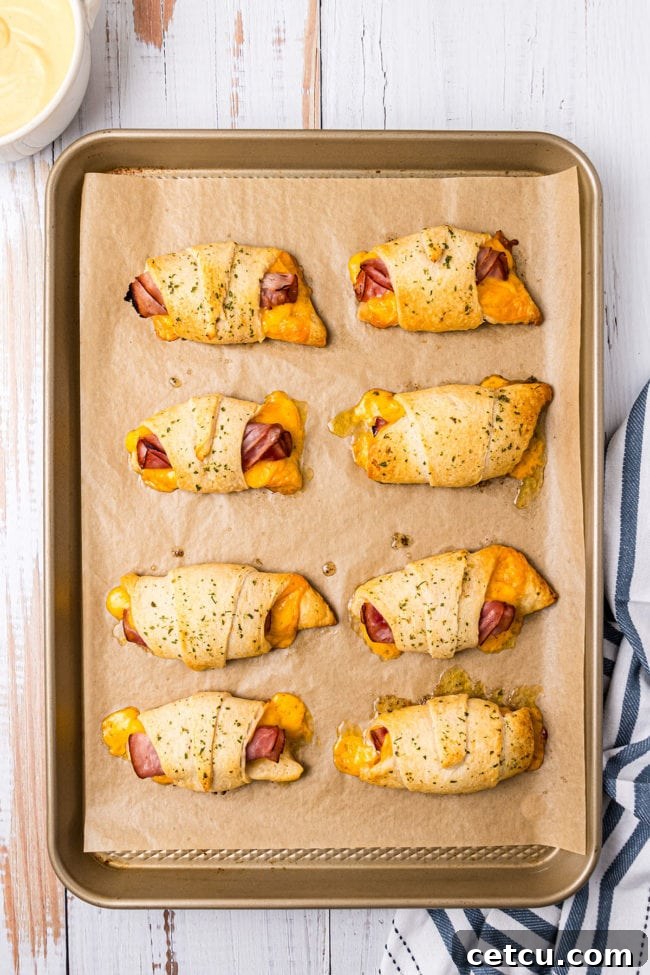 Oven-Baked Ham and Cheese Roll-Ups on a baking sheet, freshly out of the oven.