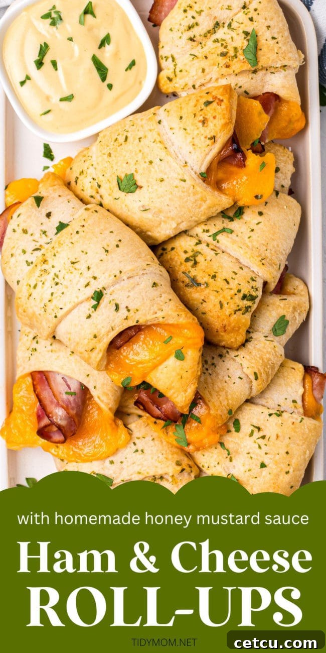 Baked Ham and Cheese Roll-Ups, beautifully arranged and ready for serving.