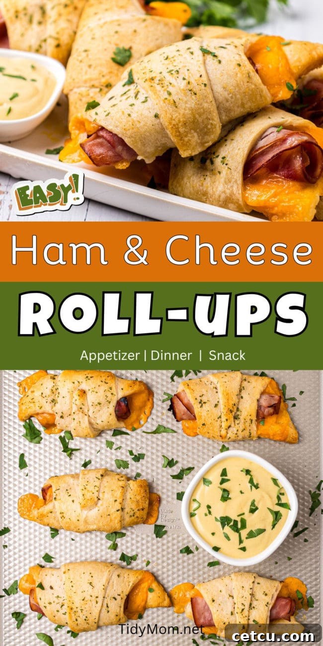 Baked Ham and Cheese Crescent Roll Sandwiches arranged on a platter.