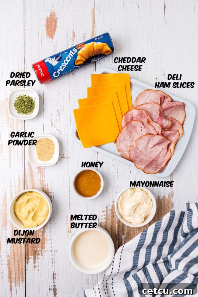 Ingredients for Ham and Cheese Roll-Ups laid out on a table: crescent rolls, ham, cheese, butter, garlic powder, parsley, mayonnaise, Dijon mustard, and honey.